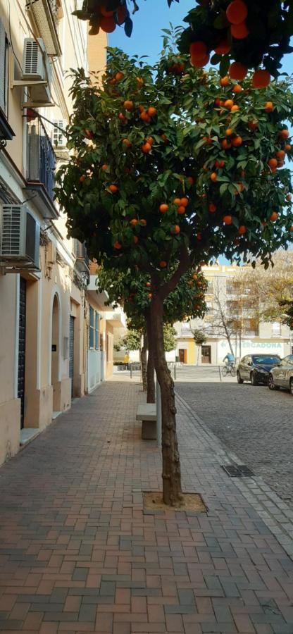 Appartamento Golondrina Cordova Esterno foto